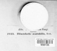 Image Associated With the Occurence